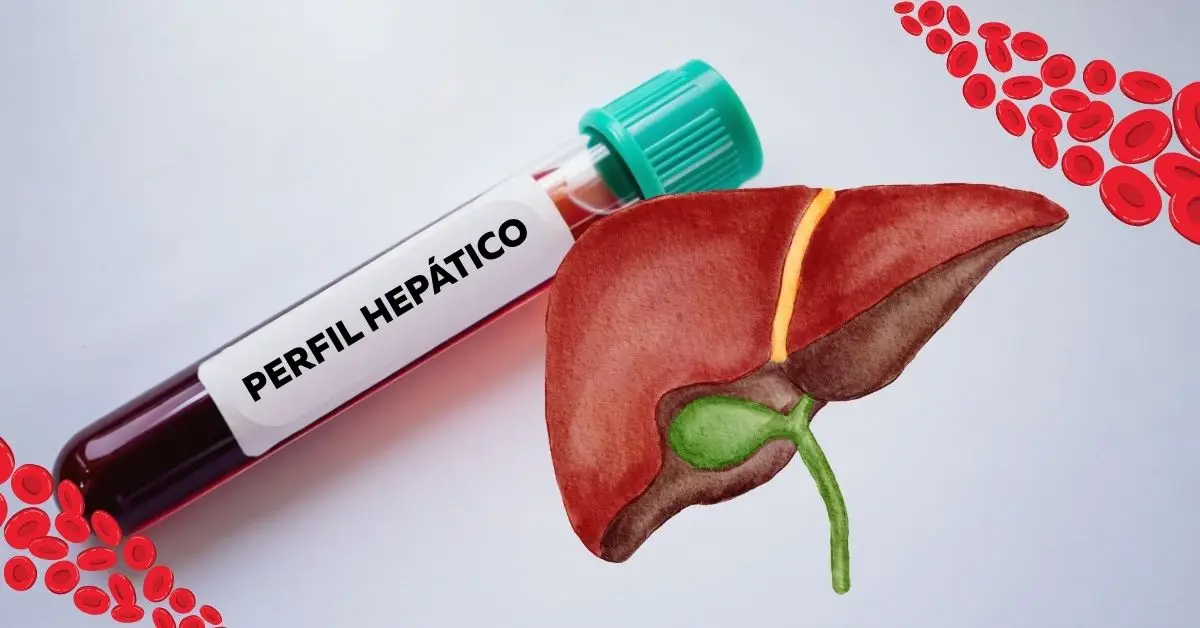 perfil hepatico para que sirve